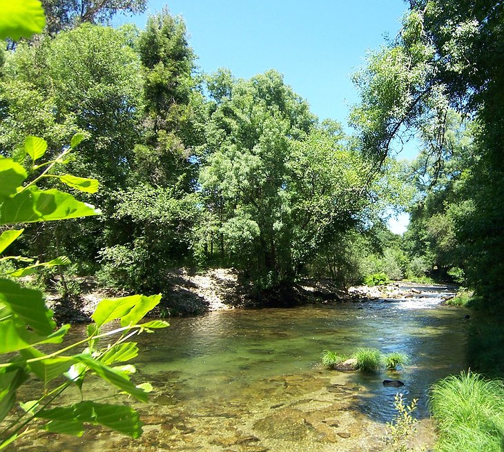 River Vez