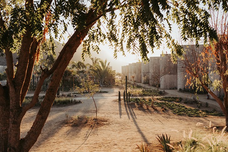 Paradero Todos Santos Hotel Garden