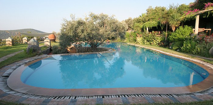 Antik Zeytin Hotel & Art - Sea Breeze And Olives In The Aegean Region