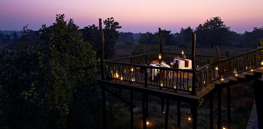 Samode Safari Lodge - Wild Tiger Safari In India