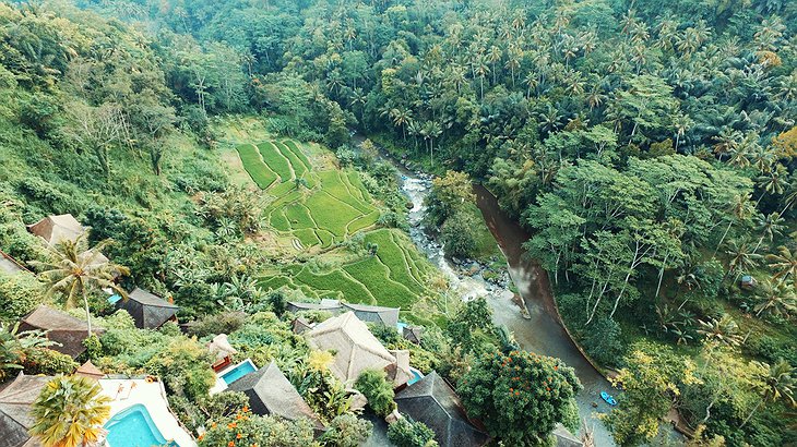 Kupu Kupu Barong Villas in the rice field