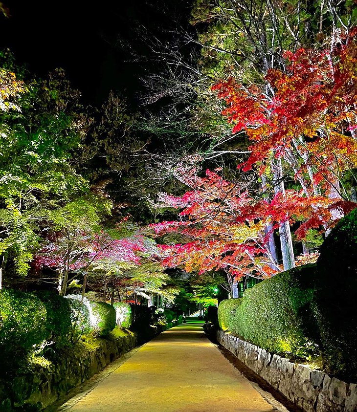 Magical Japanese Garden At The Koyasan Saizen-in Temple
