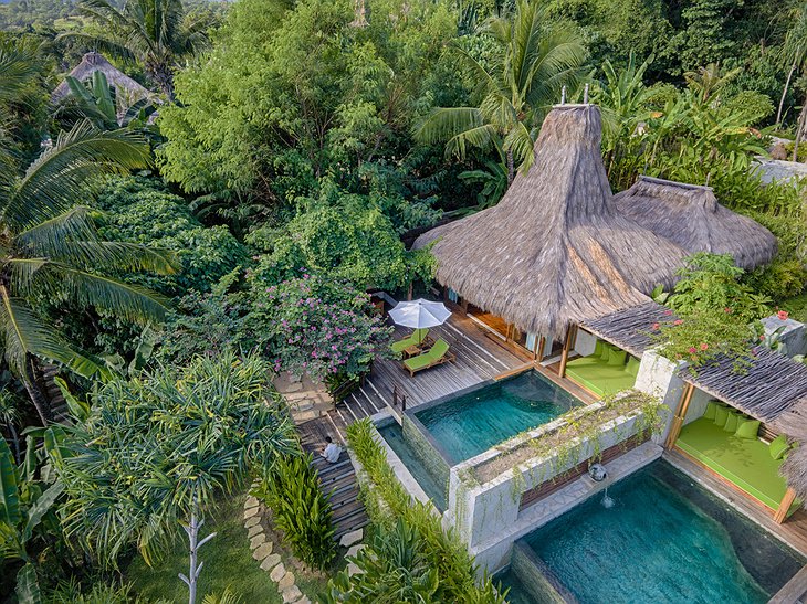 Jungle pool villa