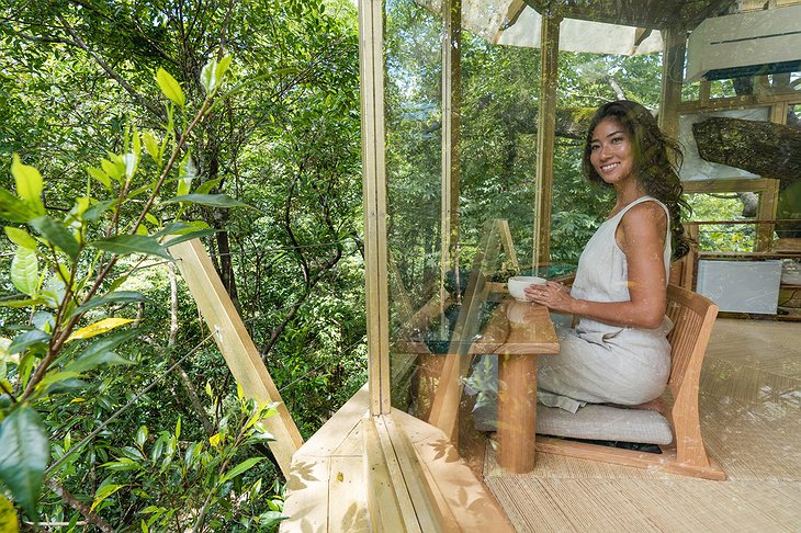 Treeful Treehouse Sustainable Resort Trophy Treehouse Window Nook