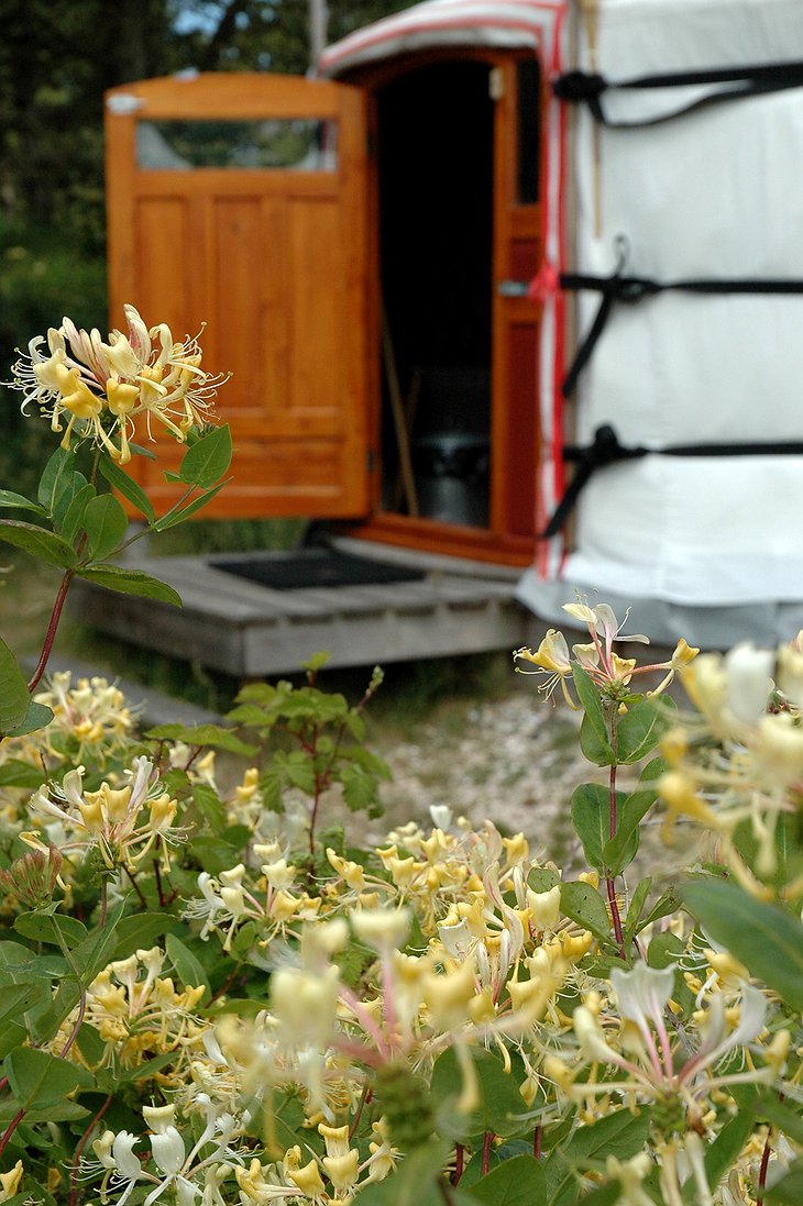 Texel Yurt open doors