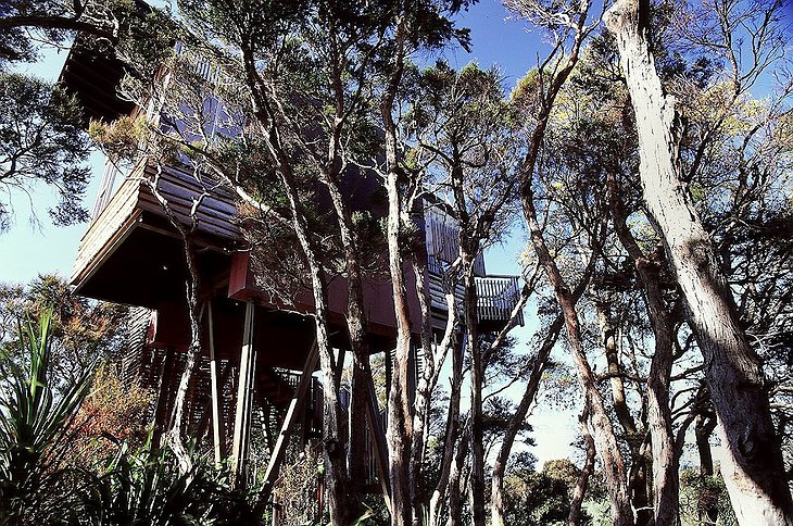 Hapuku Lodge tree houses