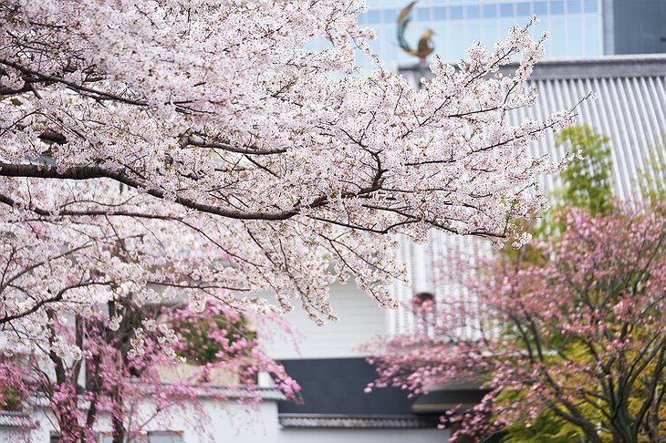 Hotel Gajoen Tokyo Sakura (Cherry Blossom) Garden