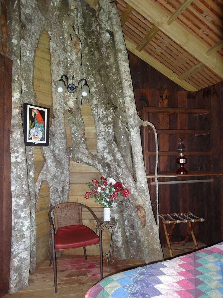 Visible parts of the banyan tree in the room