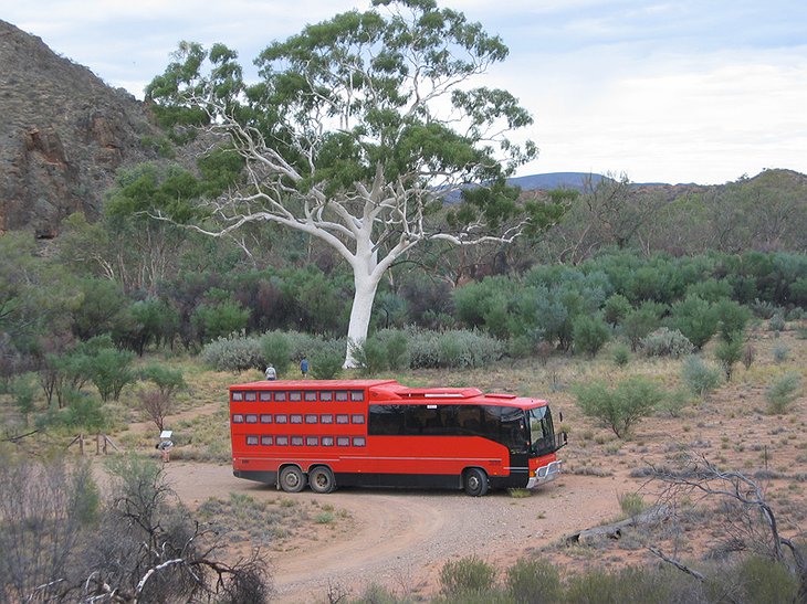 3 storey bus