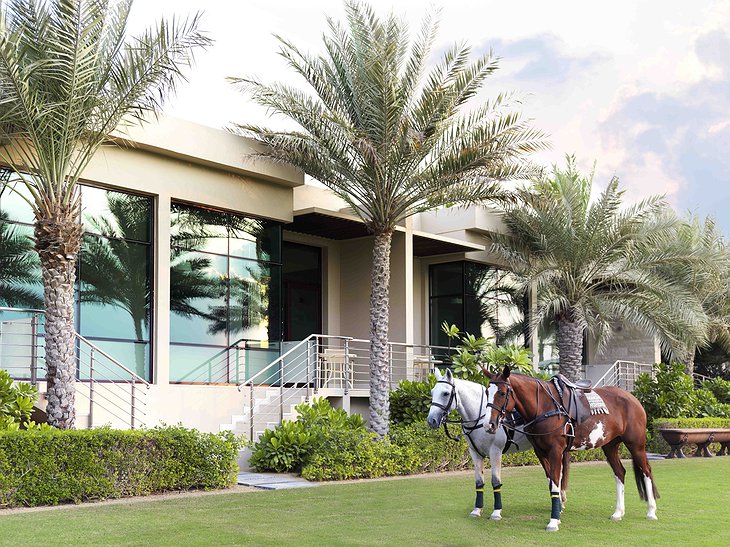 Desert Palm Resort Dubai polo horses