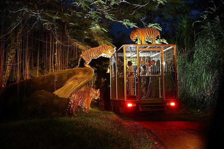 Mara River Safari people in the cage of a truck