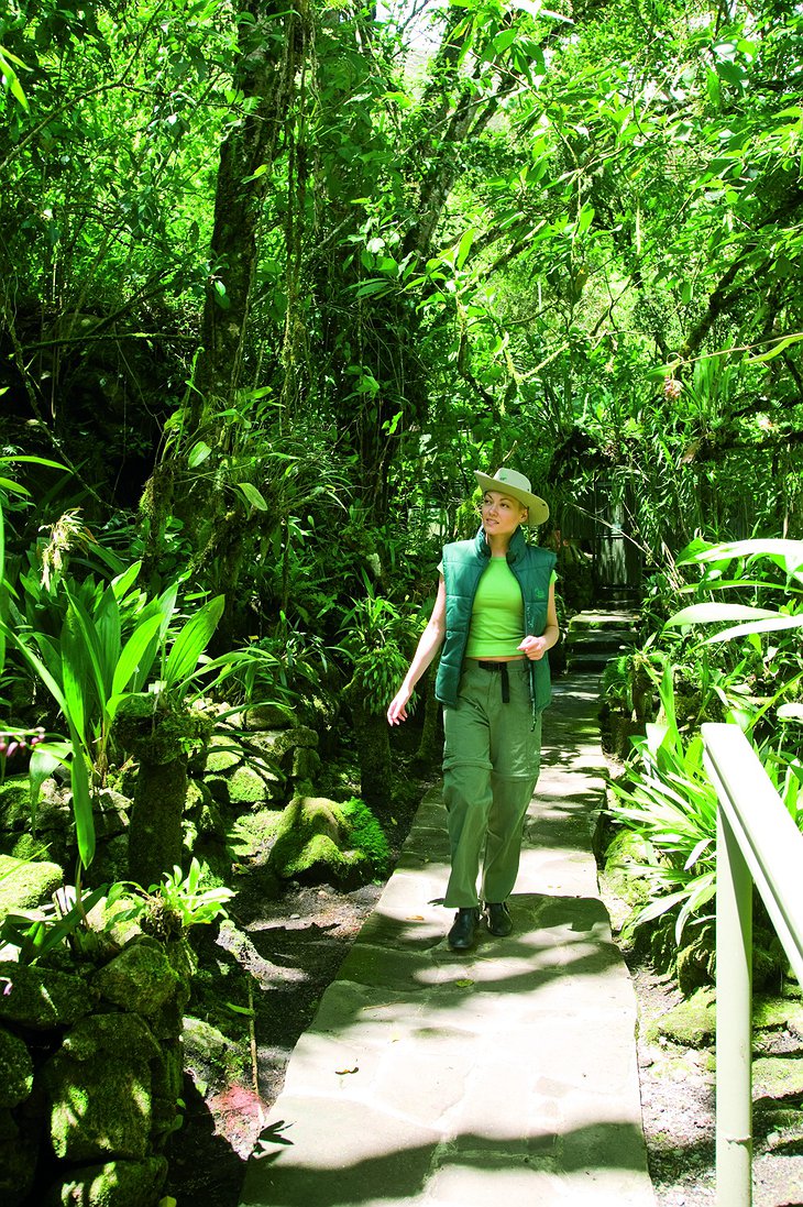 Machu Picchu Sanctuary Lodge botanic garden