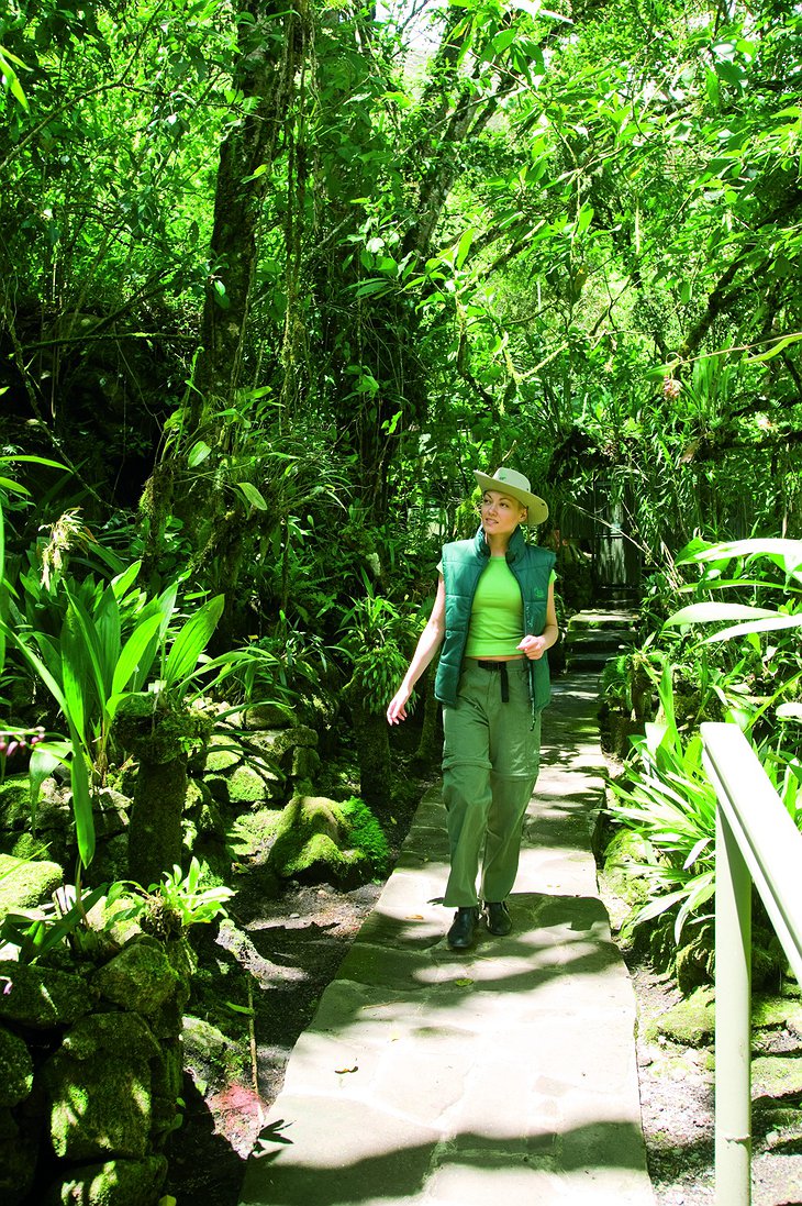 Machu Picchu Sanctuary Lodge botanic garden