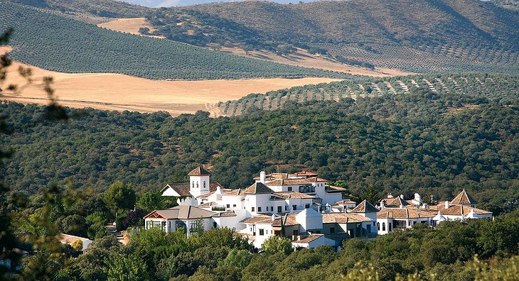 La Bobadilla aerial