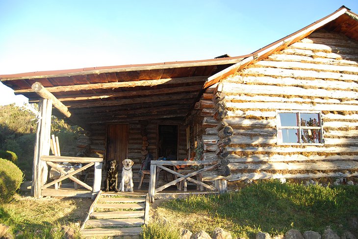 Rutundu main cabin entrance with two dogs