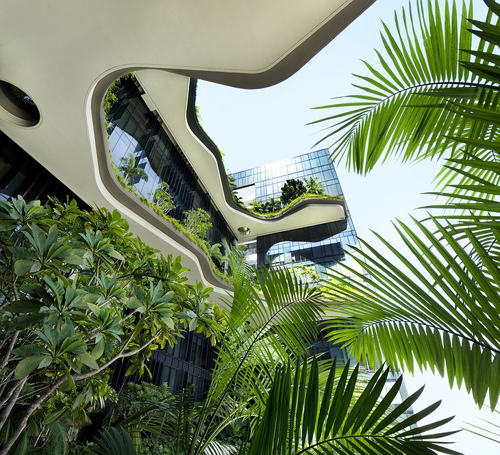 Looking up at the sky gardens of Parkroyal on Pickering