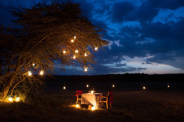 Romantic dinner under the tree