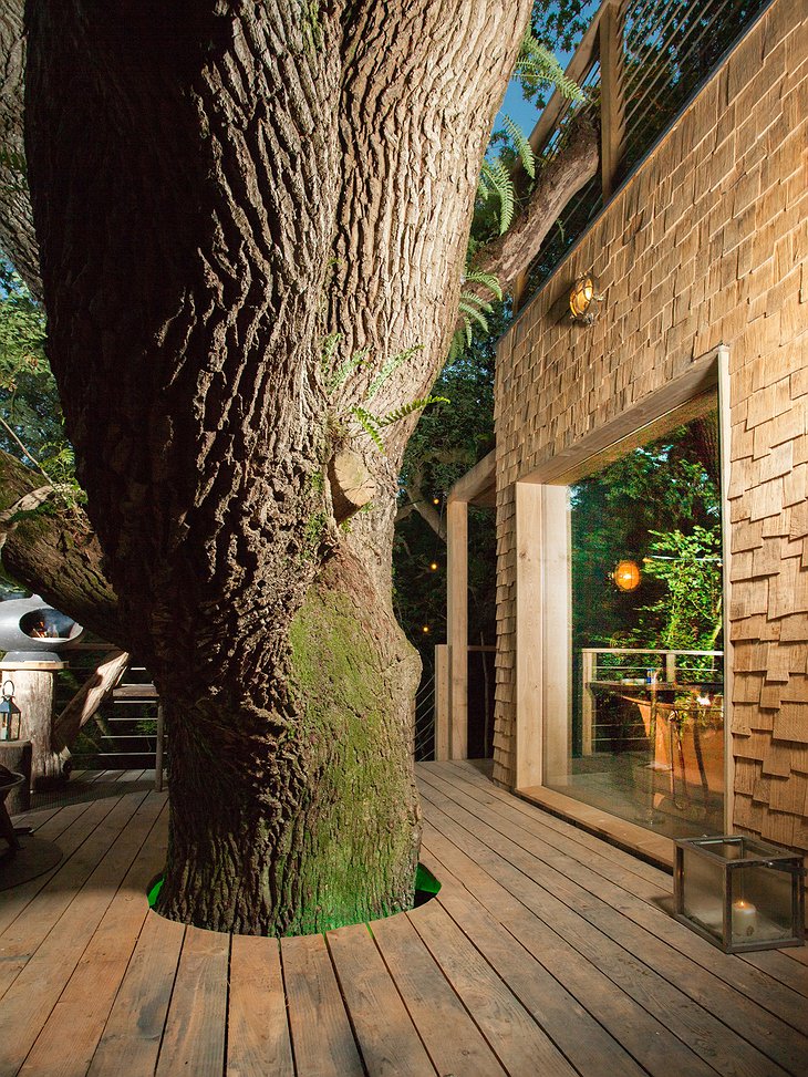 The Woodman's Treehouse Tree Trunk