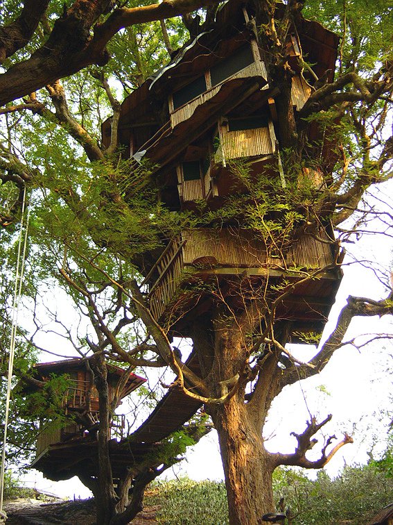 Tree House in Sanya