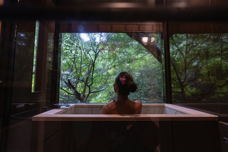Treeful Treehouse Sustainable Resort AeroHouse Bathtub With Jungle View