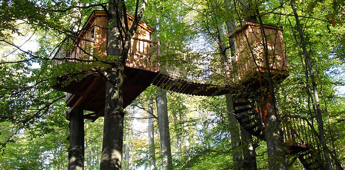Baumhaushotel Solling - Dreamy Treehouses In An Experimental Forest