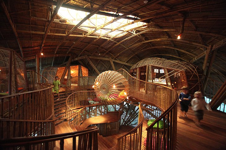 Organic wooden interior in The Den