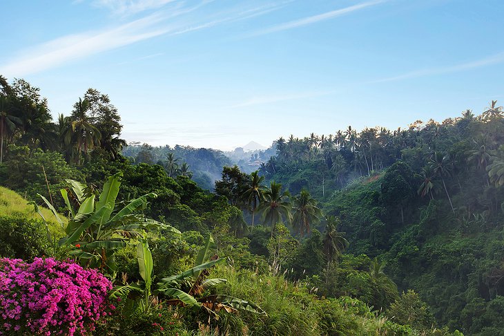 Ubud valley