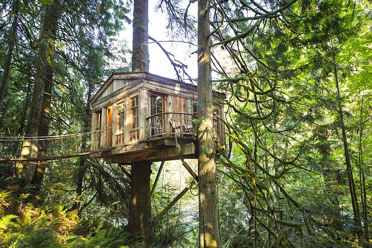 Temple Tree House