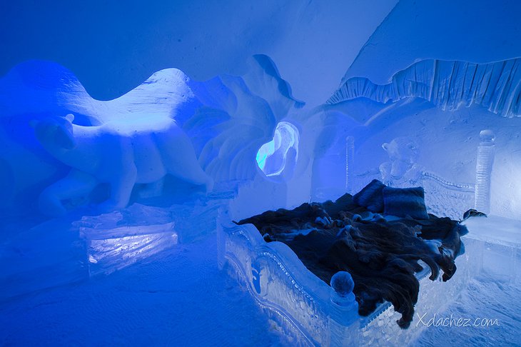 Sleep in the ice room