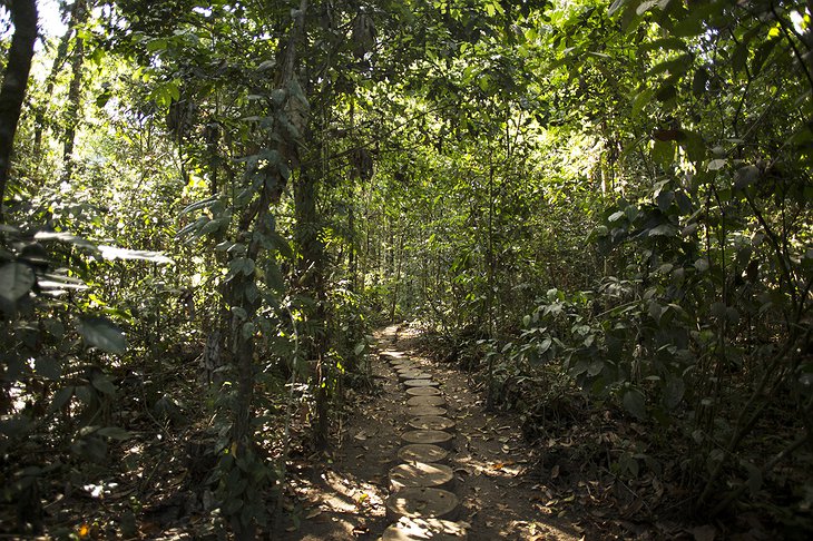 Inkaterra Reserva Amazonica Lodge Garden