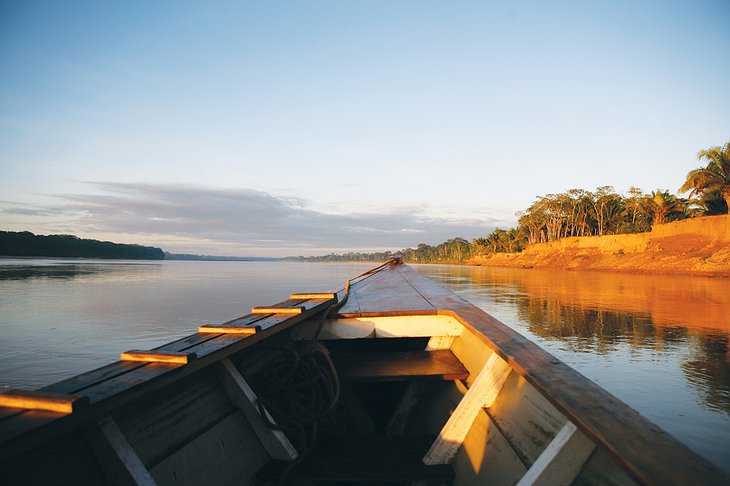 Amazon River from the Boat