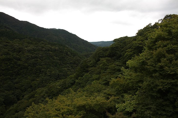Hakone mountains