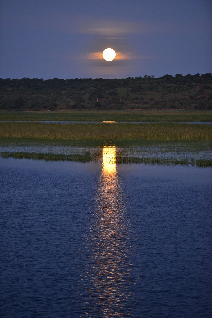 Chobe National Park moonrise