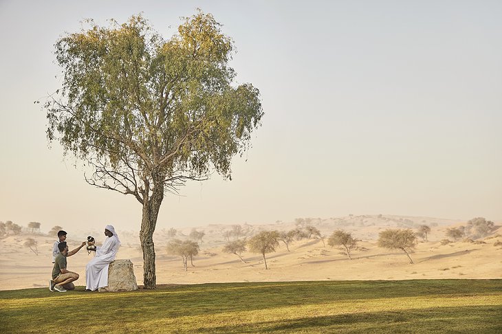 The Ritz-Carlton Ras Al Khaimah, Al Wadi Desert Hotel Falcon Experience