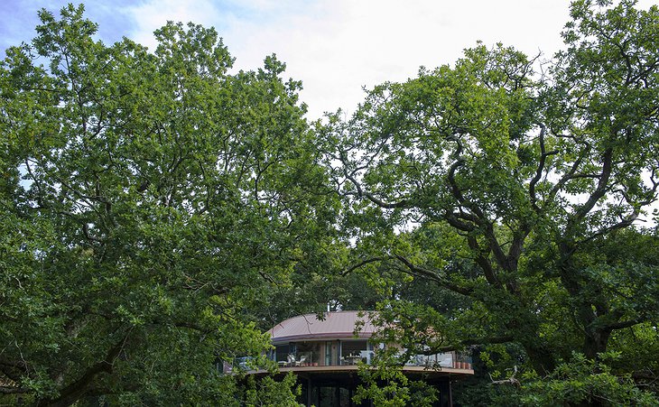 Chewton Glen Treehouse