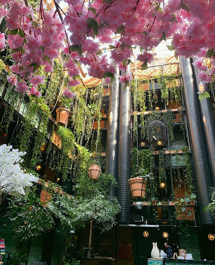 Manon Les Suites Jungle Pool Vertical Gardens Pink Flowers