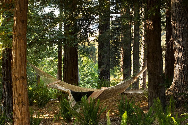 Ventana Big Sur Forest Hammock