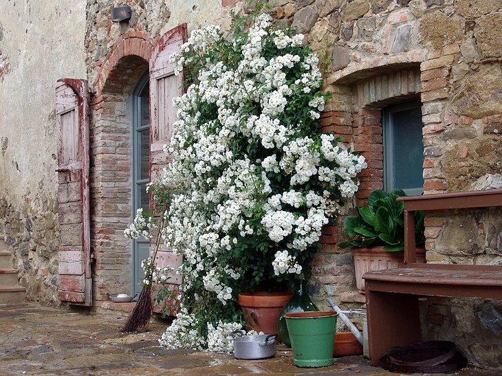 Follonico entrance door