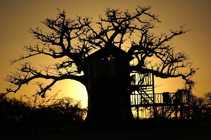 Les Collines De Niassam tree house