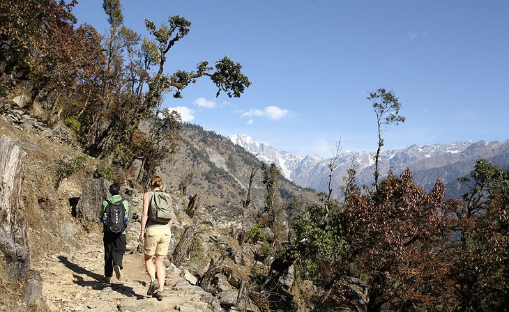 Trekking in the Himalayas