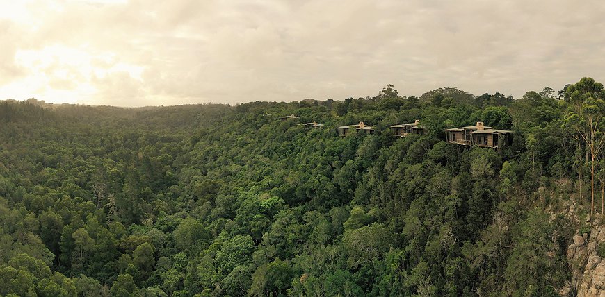 Tsala Treetop Lodge - Secluded Forest Hideaway Along The Garden Route