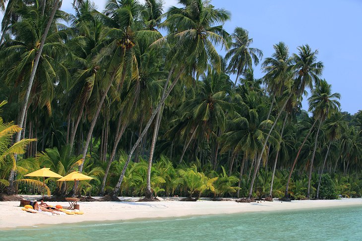 Private Beach Picnic