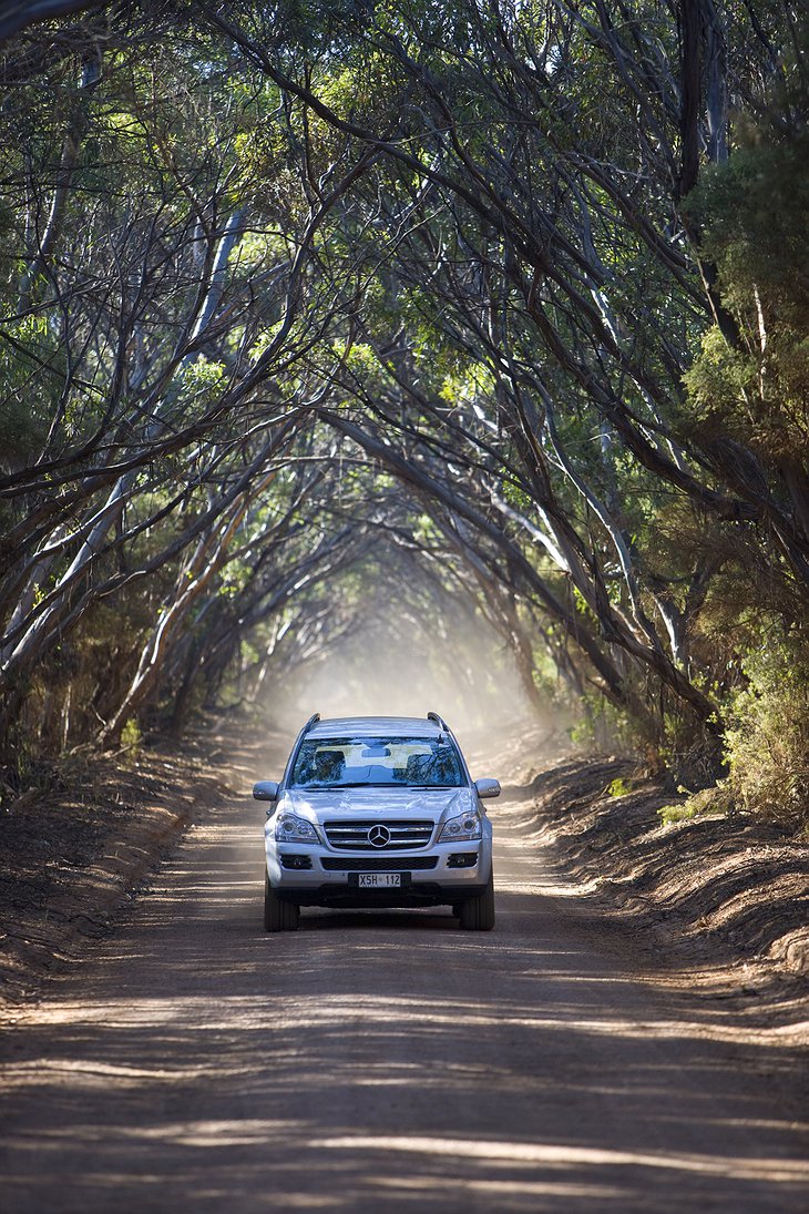 Private ride in a Mercedes SUV