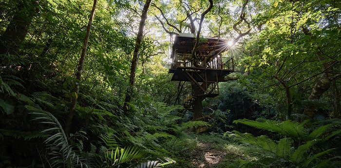 Treeful Treehouse Sustainable Resort In The Jungles Of Okinawa