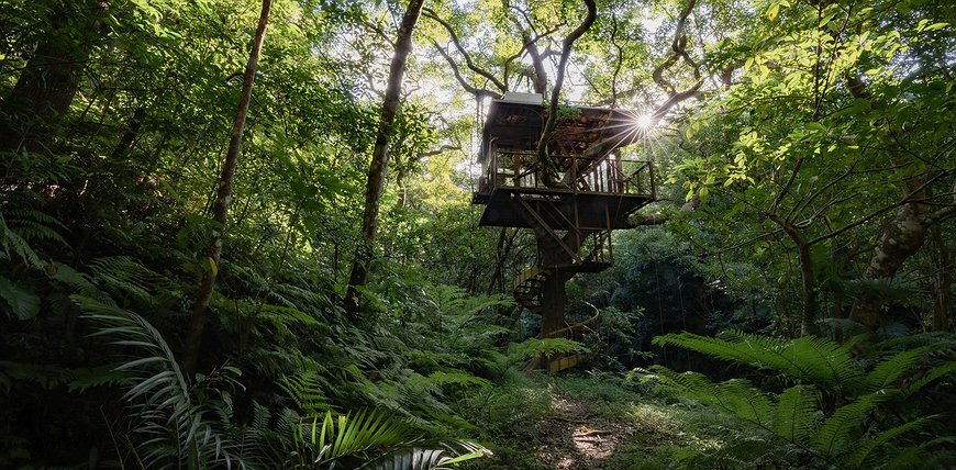 Treeful Treehouse Sustainable Resort In The Jungles Of Okinawa
