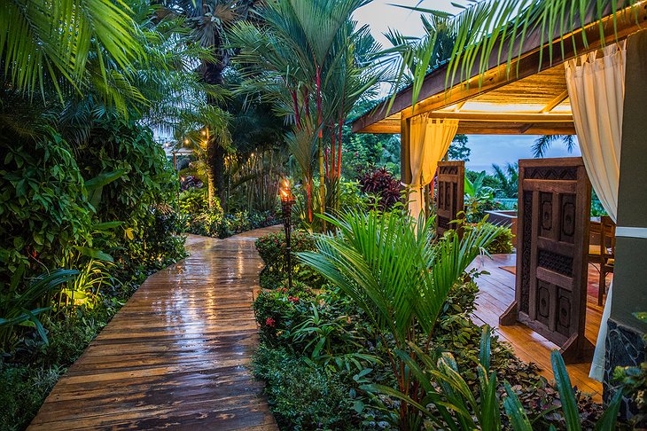 Hotel Casa Chameleon Mal Pais Jungle Pathway