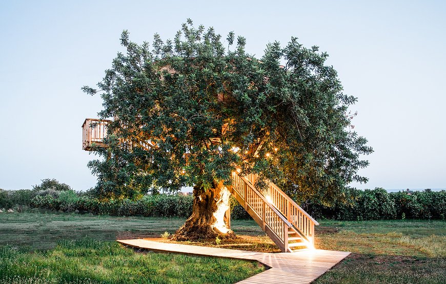 Conversas de Alpendre, Algarve - A Rural Hideaway With Soul