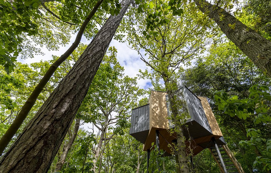 Lovtag Treetop Cabin - ‘Hyggelige’ Among the Beech and Birch