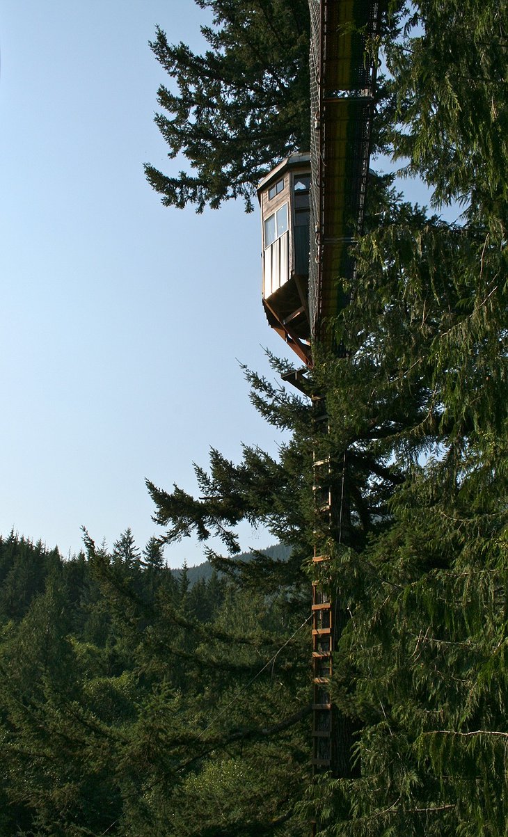 Cedar Creek Treehouse suspended bridge