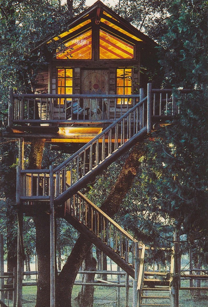 Peacock tree house